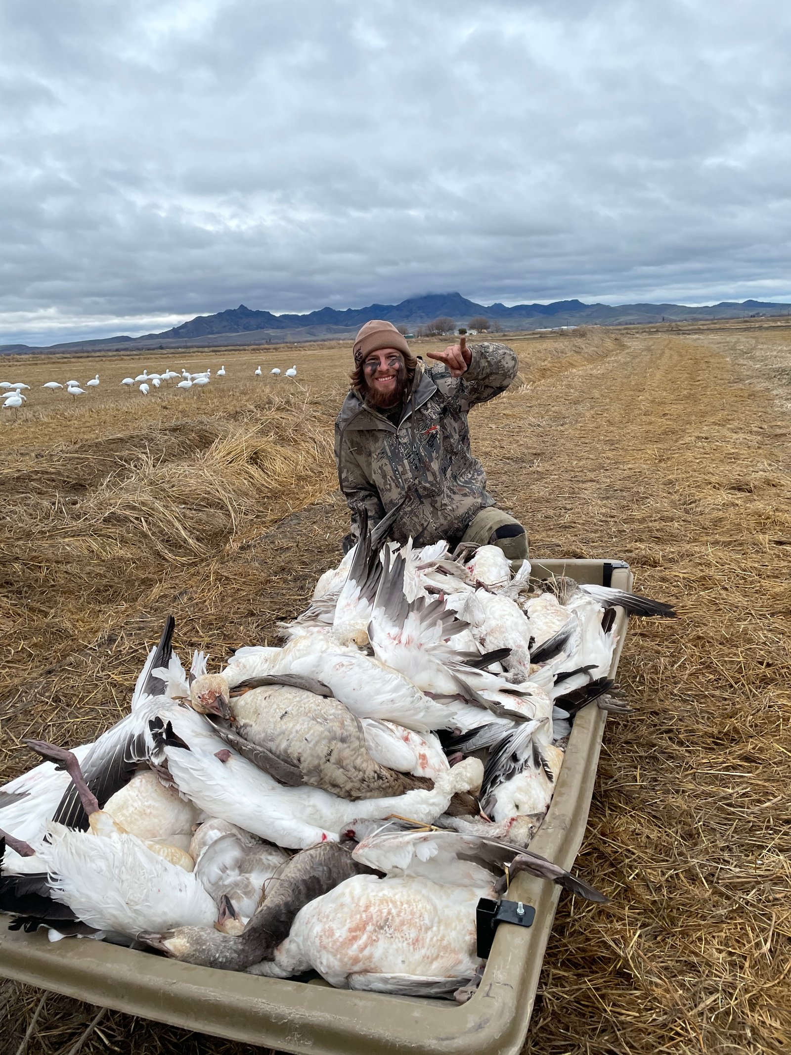 Sutter Basin waterfowl hunt