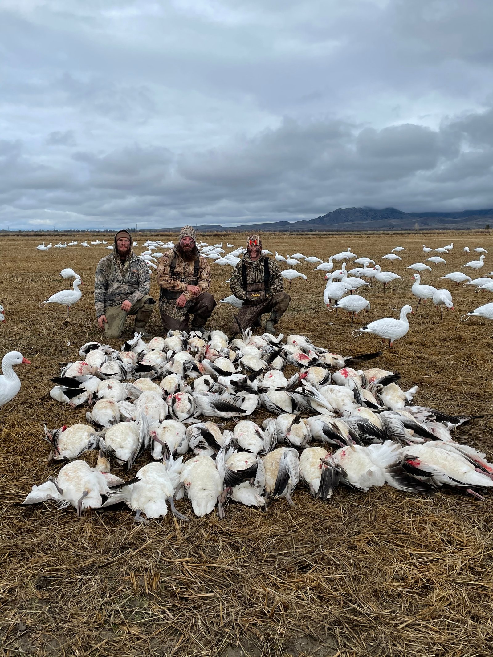 Sutter Basin waterfowl hunt