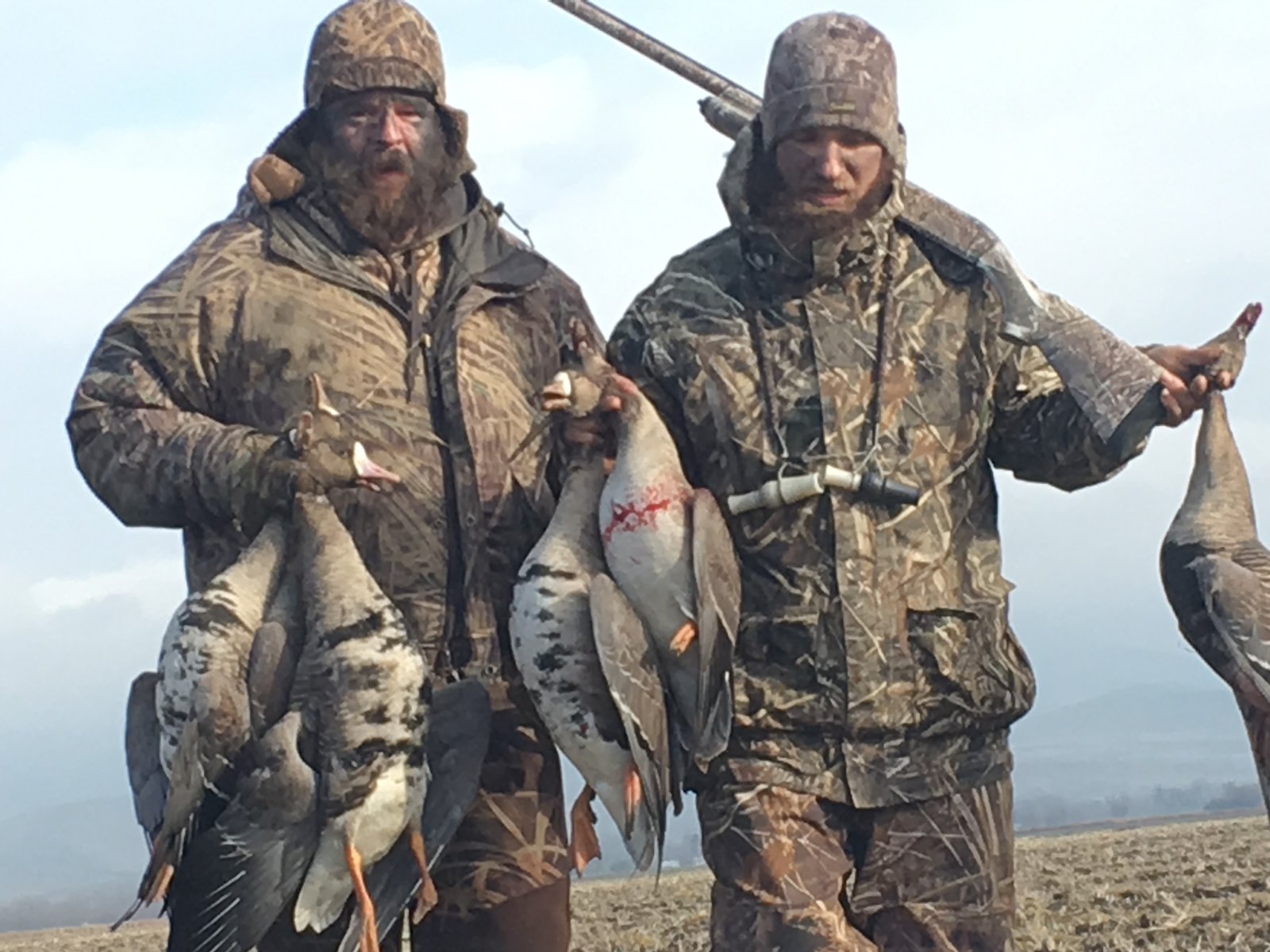 Sutter Basin waterfowl hunt