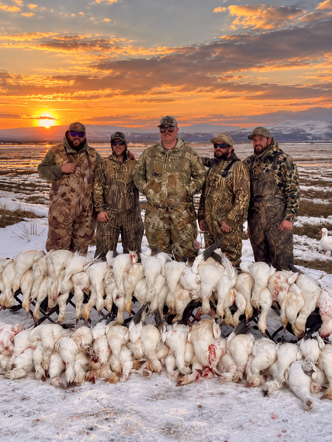 Fowl Wreckers hunters with snow geese at sunset